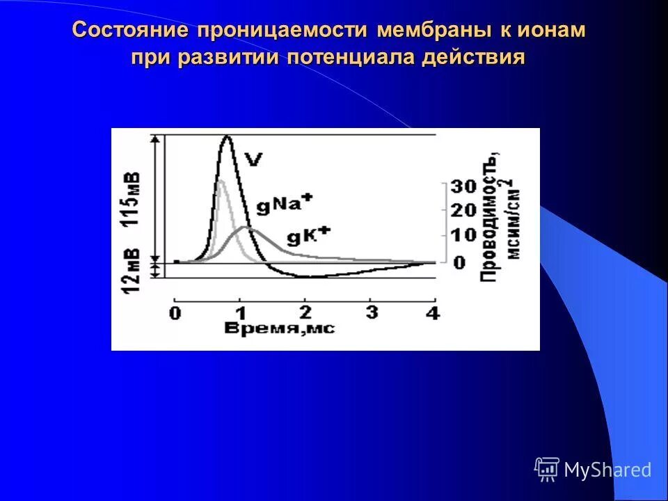 Проницаемость пленок. Проницаемость пленок