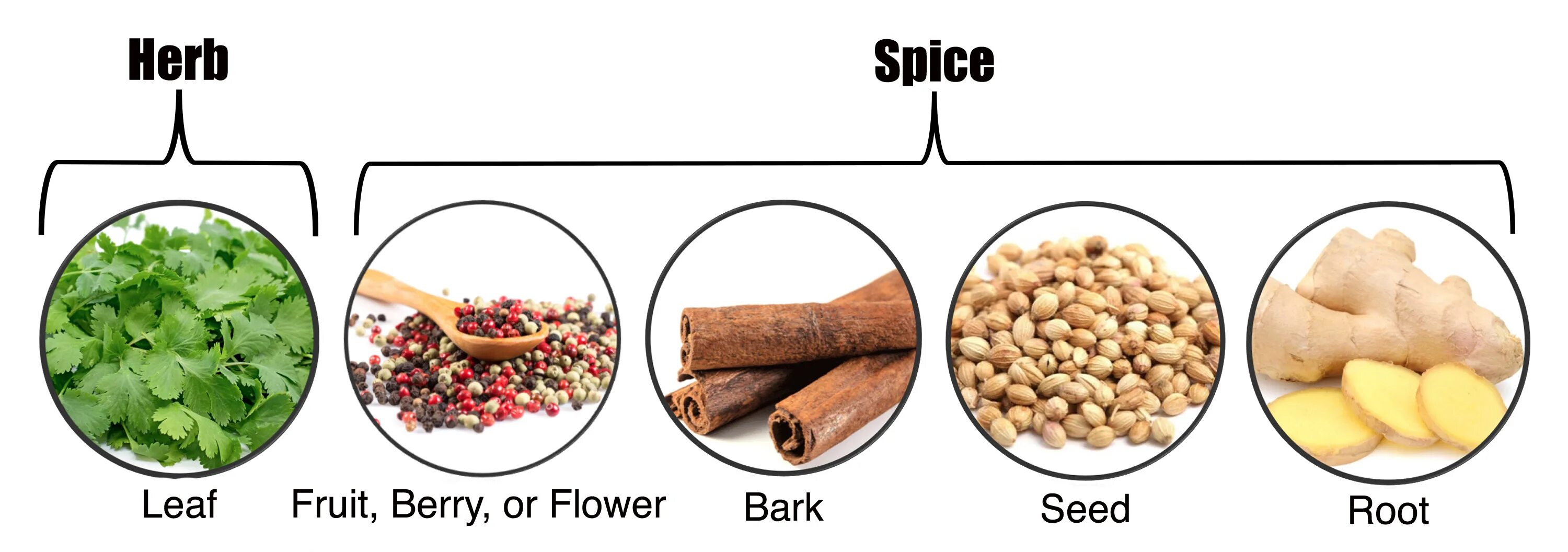 Суперпродукты для потери веса карточки. The difference between Spices and Condiments. Types of Herbs.