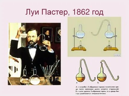 Л пастер открытие