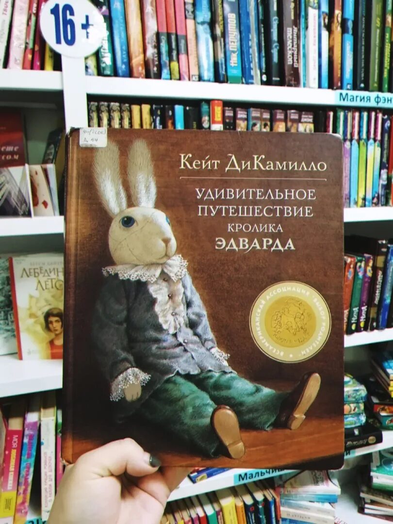 Книга приключения кролика Эдварда. Удивительные приключения кролика Эдварда. Удивительное путешествие кролика Эдварда. Удивительное путешествие книга