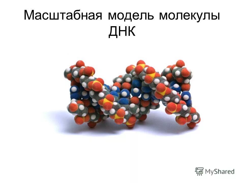 молекула метана ch4. модель стюарта бриглеба. шаростержневая модель молекулы метана. шаростержневая молекула метана. 3d модель молекулы.