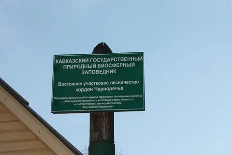 Кордон расписание