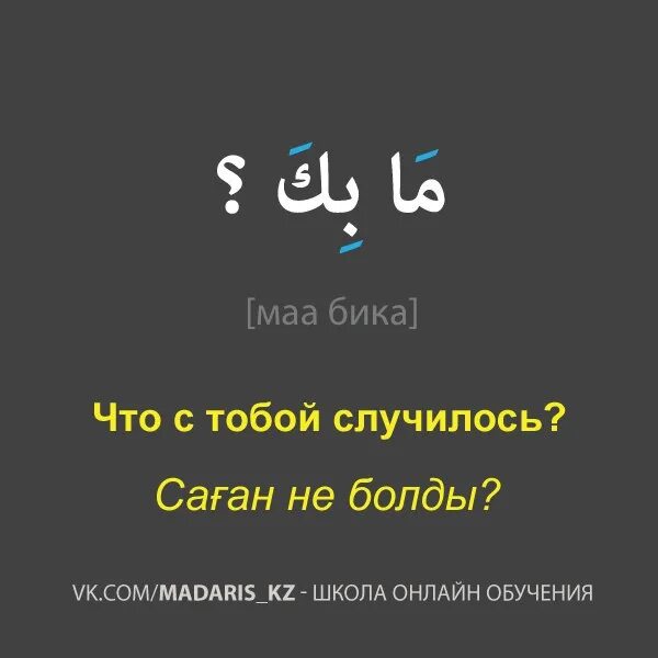 Фразы на арабском. Цитаты на арабском языке. Арабские цитаты. Арабские фразы на арабском.