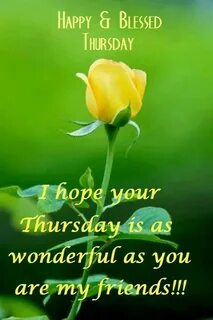 I hope you happy