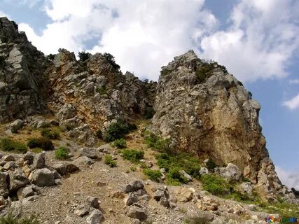 Каменистый ответ