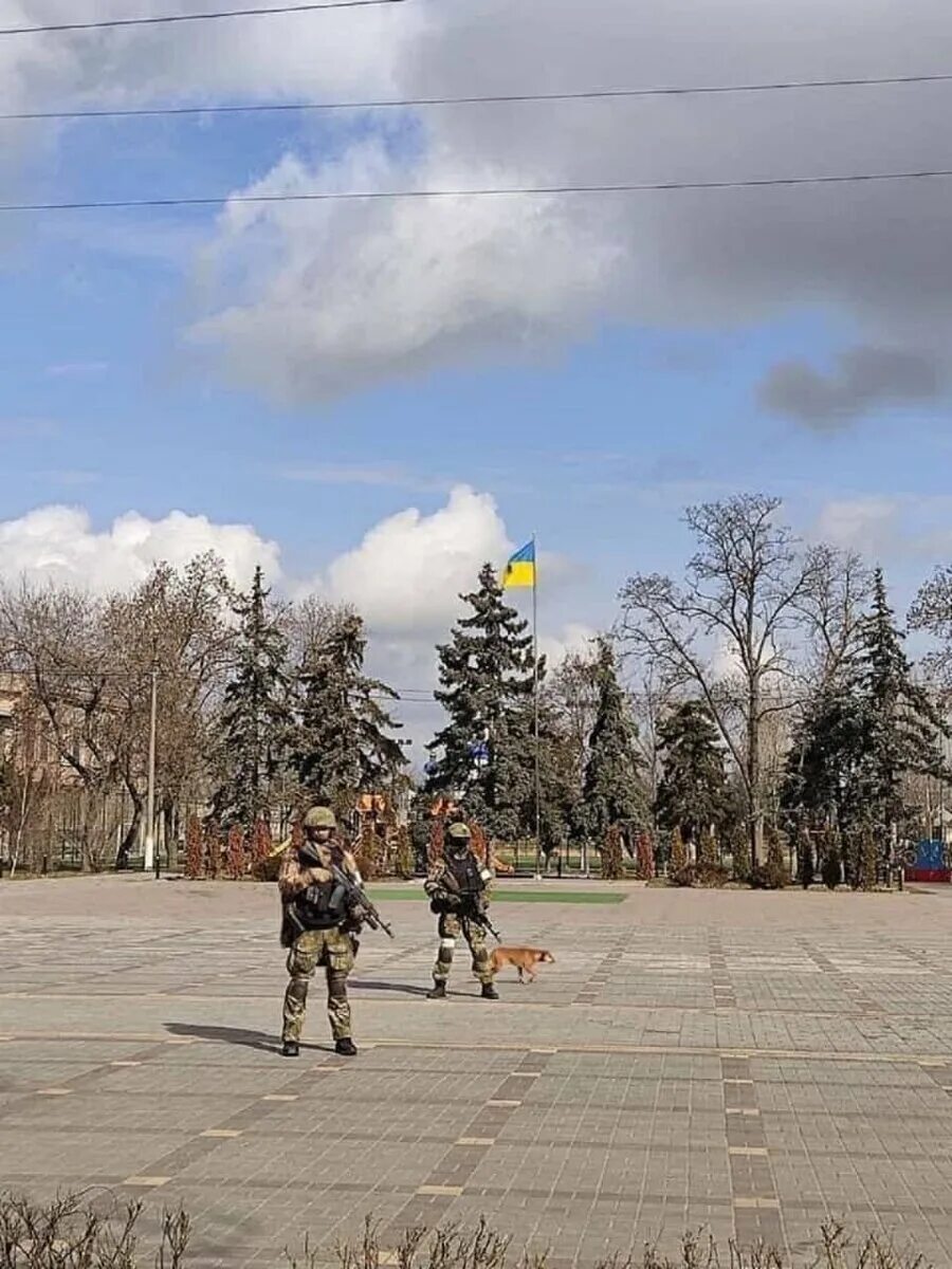 Скадовск 2022. Войска в городе. Город Скадовск. Украинские войска в городе. Новости скадовска херсонской