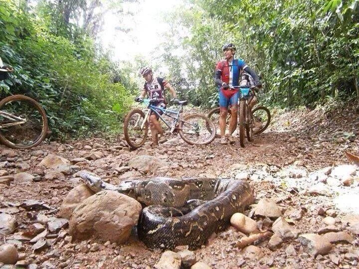 Cycle find. Cycle find