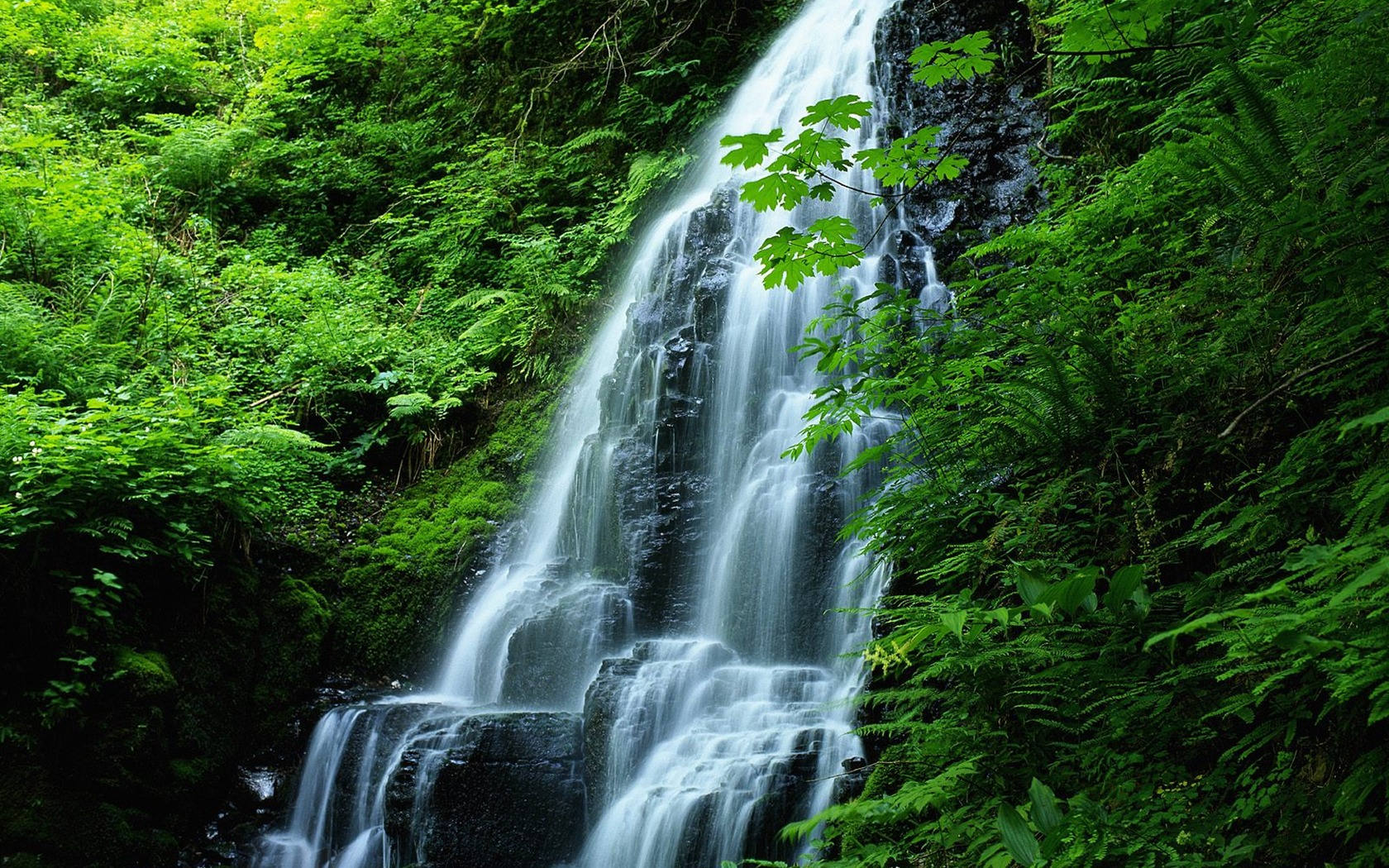 Меняющие обои на экран. Природа. Красивые водопады. Живая природа водопады. Живые водопады.