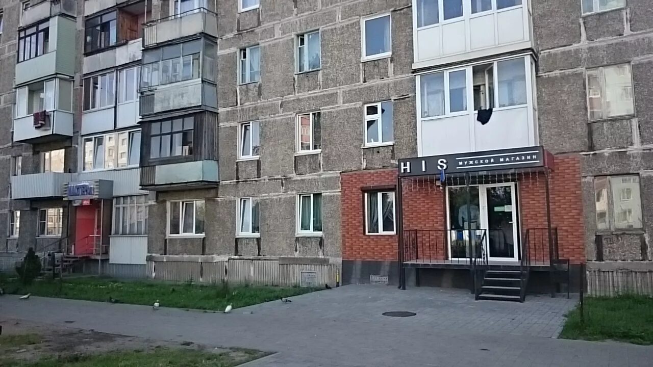 , балтийск, зелёная ул. Монро балтийск. Ленина 67 балтийск. Город балтийск улица ленина 67. Проспект ленина балтийск.