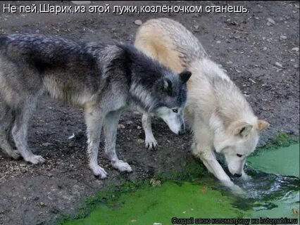 Там пока