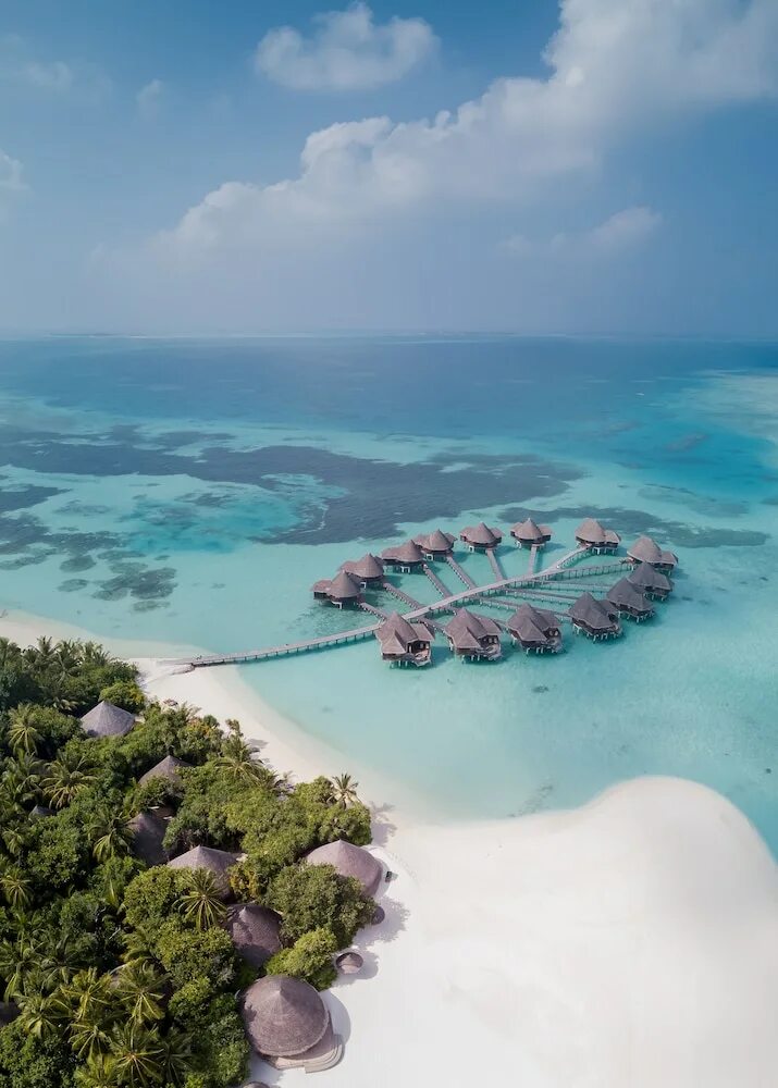 Мальдивы остров Коко. Коко пальм Мальдивы. Coco Palm Dhuni Kolhu Maldives. Coco Palm Dhuni Kolhu 5*. Погода на мальдивах в августе