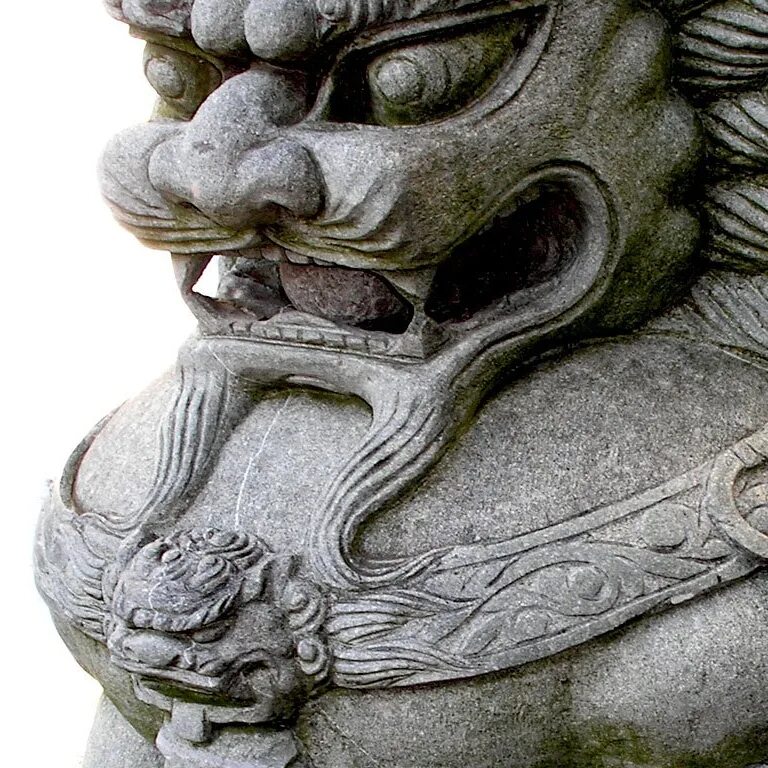 Ши цза львы будды. Фэн шуй собачки фу. Fu dog china донская ул 30 фото. Китайская собака лев фу. Собака фу лев будды.