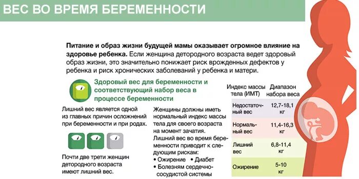 Сколько времени нельзя поднимать. Триместры беременности. 1 Триместр беременности. Снижение веса при беременности.