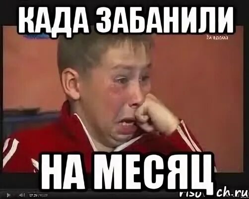 Меня забанили. Администратор мемы. Котик забанили. Мем кот в банке забанили. Забанили мем с котом.