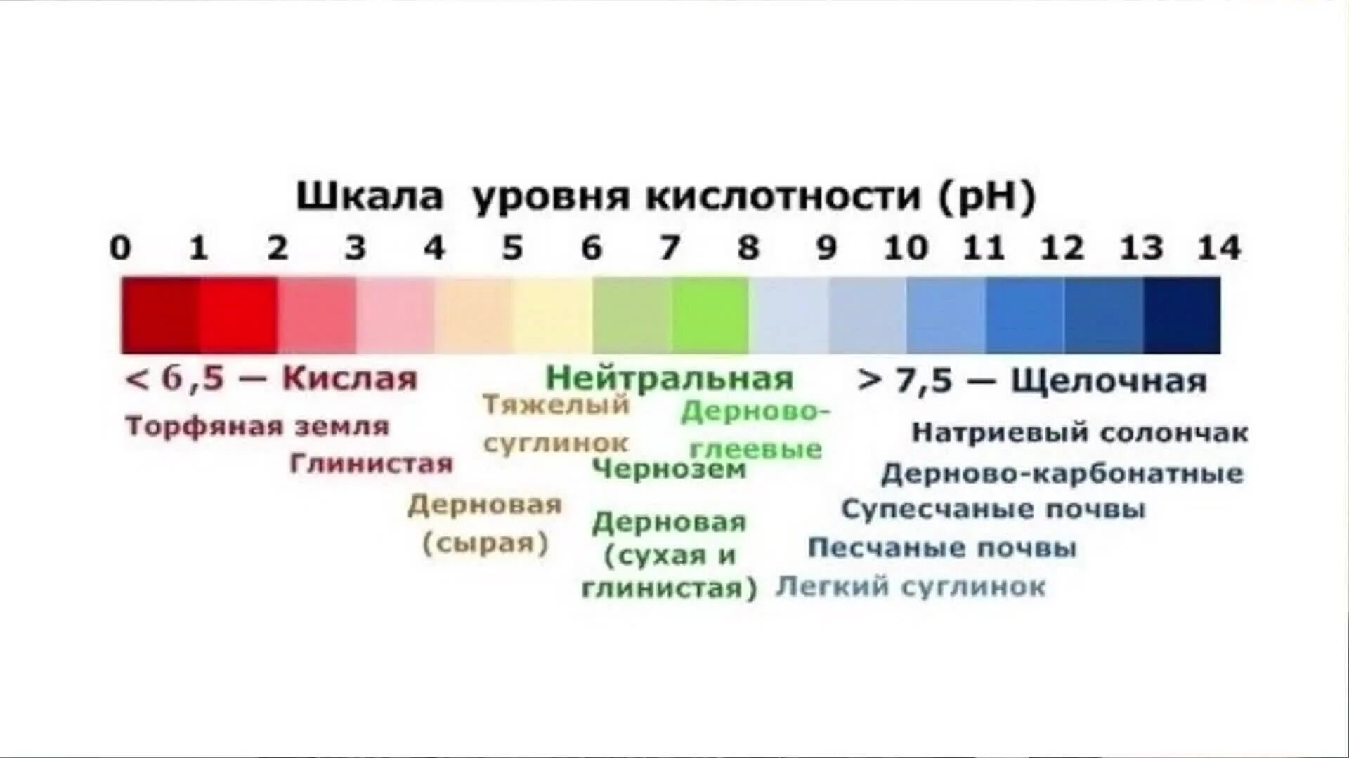 Как узнать что почва кислая. Рн 7.5 почвы кислотность. шкала кислотности ph почвы. слабокислая почва ph. кислотность почвы 7 ph.