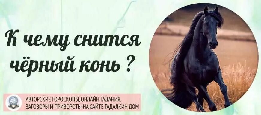 К чему снится лошадь женщине незамужней