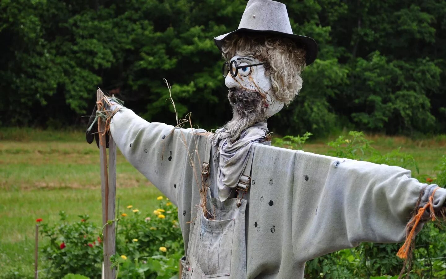 Scarecrow
