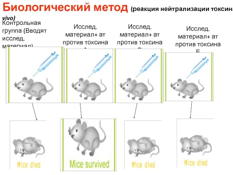 Результат реакции нейтрализации. Реакция нейтрализации токсина антитоксином. реакция нейтрализации экзотоксина микробиология. реакция нейтрализации токсина микробиология. реакция нейтрализации токсина антитоксином in vivo и in vitro.