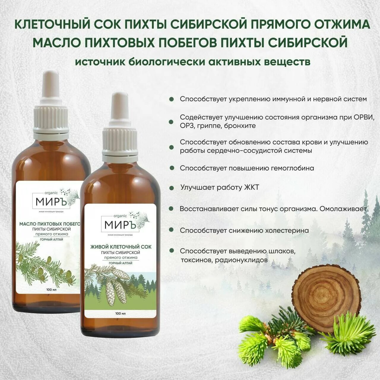 Целебные свойства ели. Пихта сибирская хвоинки описание. Масло хвои сибирской пихты витамин д. Экстракт пихты сибирской фитонцидная вытяжка. Голосеменные растения пихта сибирская.