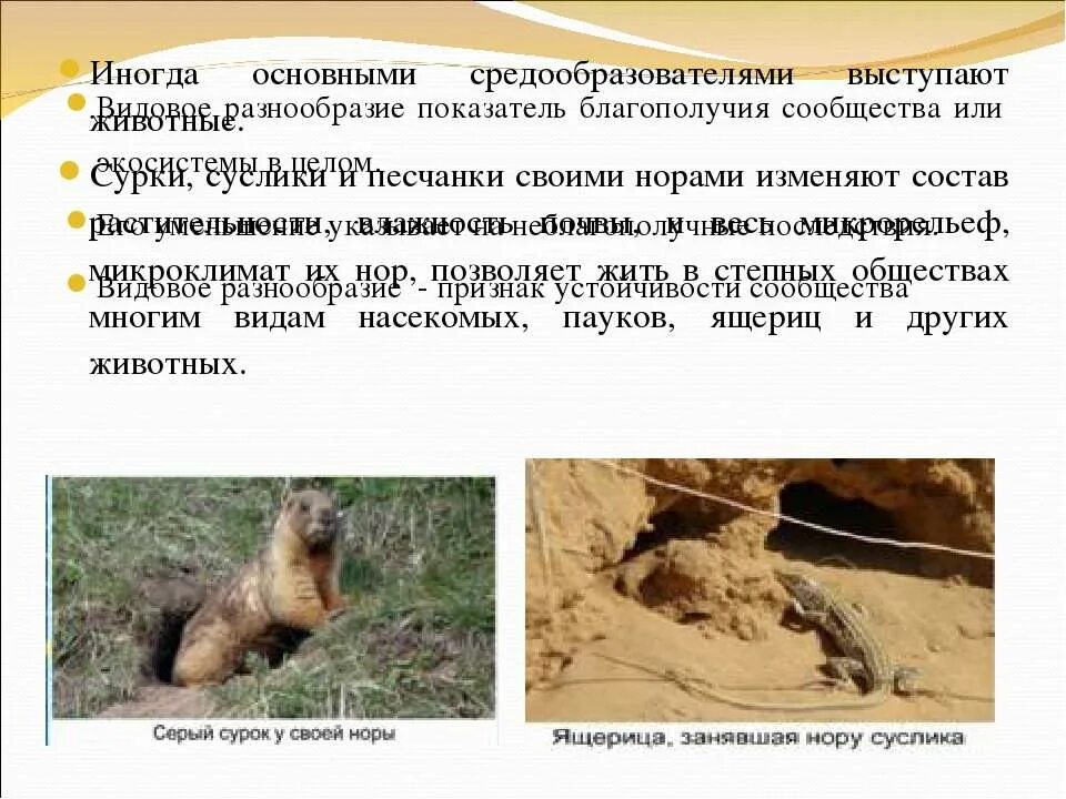 Виды которые являются средообразователями в природных сообществах. Животные виды-средообразователи. виды средообразователи примеры. роль виды- средообразователи. виды эдификаторы примеры животных.