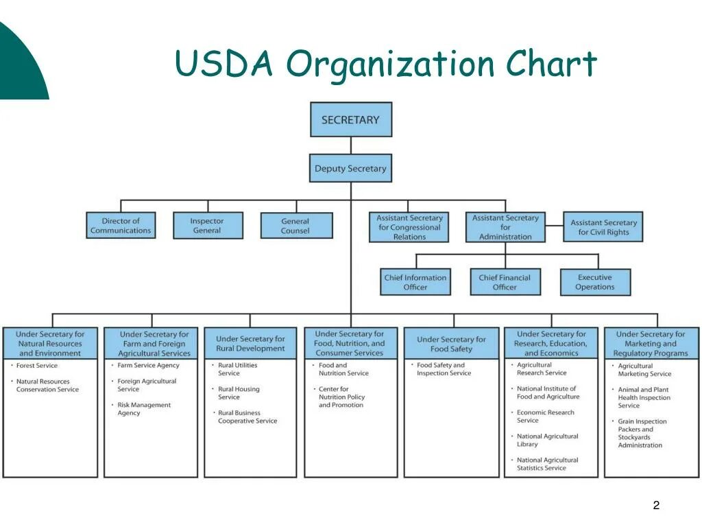 R organization. R organization