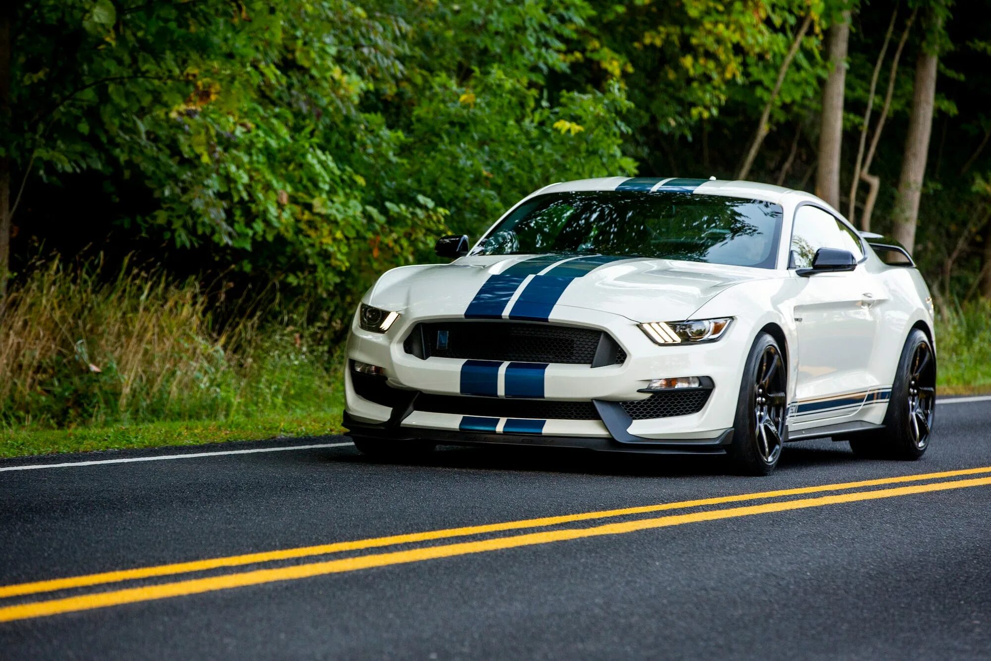 Форд мустанг шелби 350. Ford mustang gt350. Форд мустанг гт 350. Форд мустанг гт 350. Форд мустанг шелби пе 350.