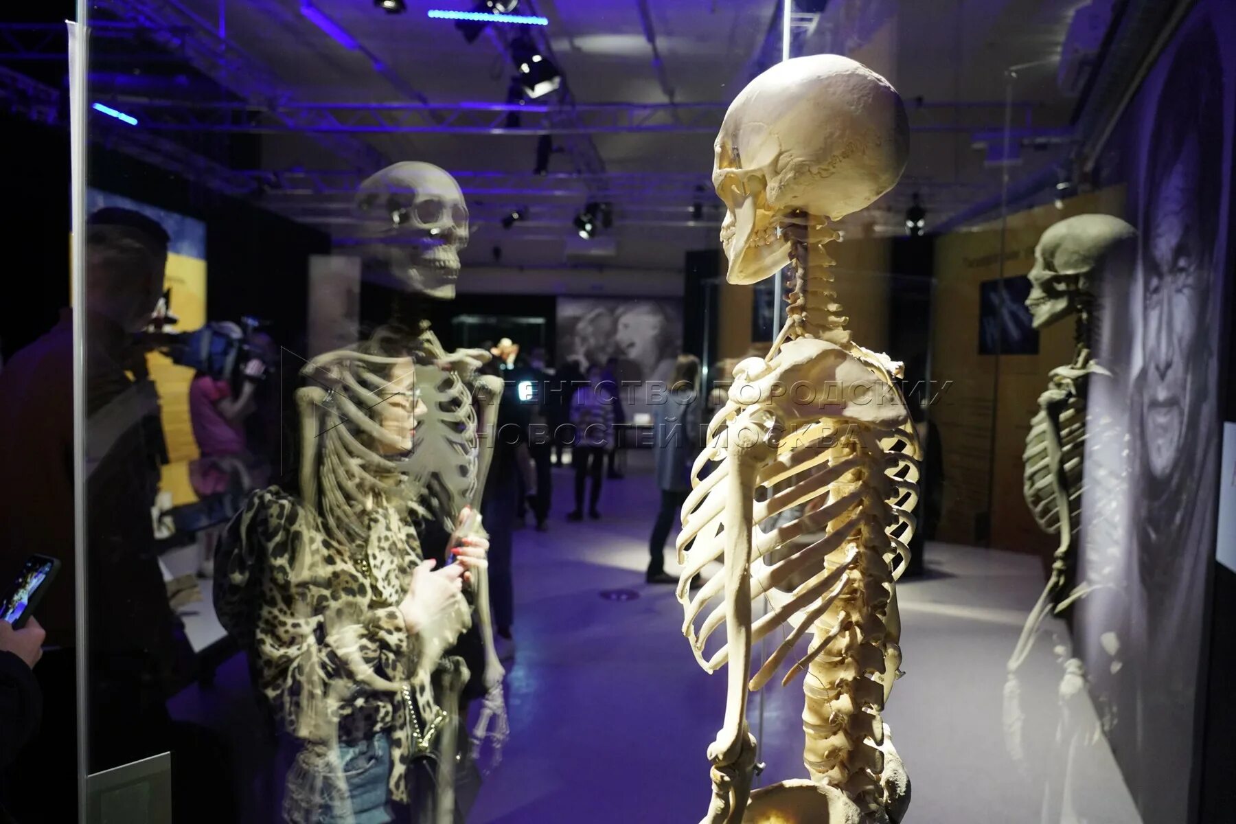 Выставка тел москва. Анатомическая выставка «body worlds. Выставка тел москва. Музей человеческого тела вднх. Body worlds москва вднх выставка.