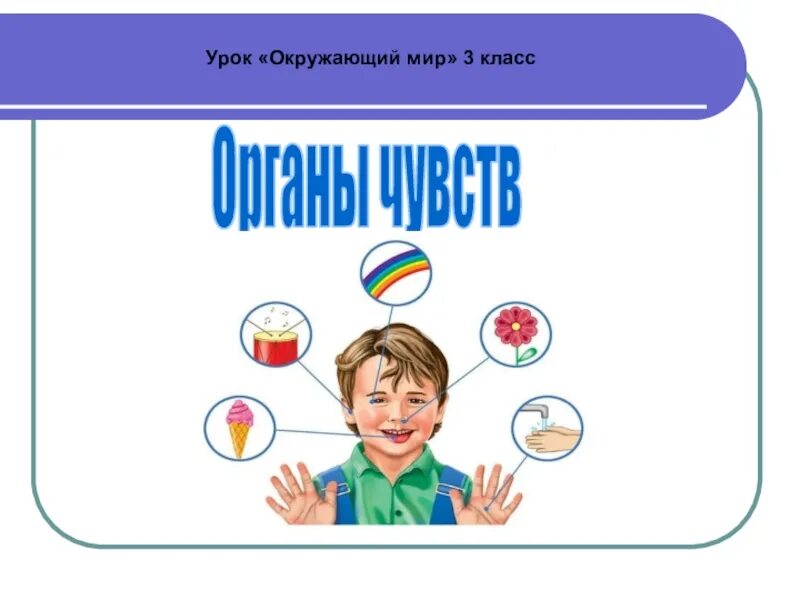 Тема органы чувств 3 класс окружающий мир. Информация об органах чувств 3 класс окружающий мир. Исследовательский проект органы чувств 3 класс.