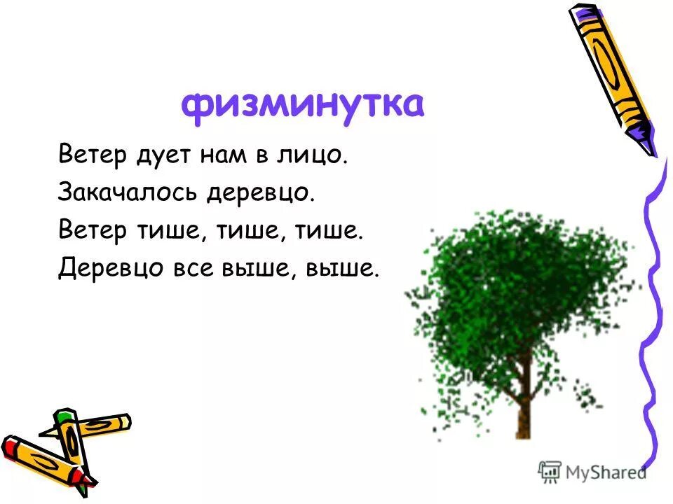 Ветер дует нам в лицо закачалось деревцо физминутка. Физминутка ветерок для детей. Физкультминутка закачалось деревцо. Физкультминутка ветер. Песни ветер дует в лицо