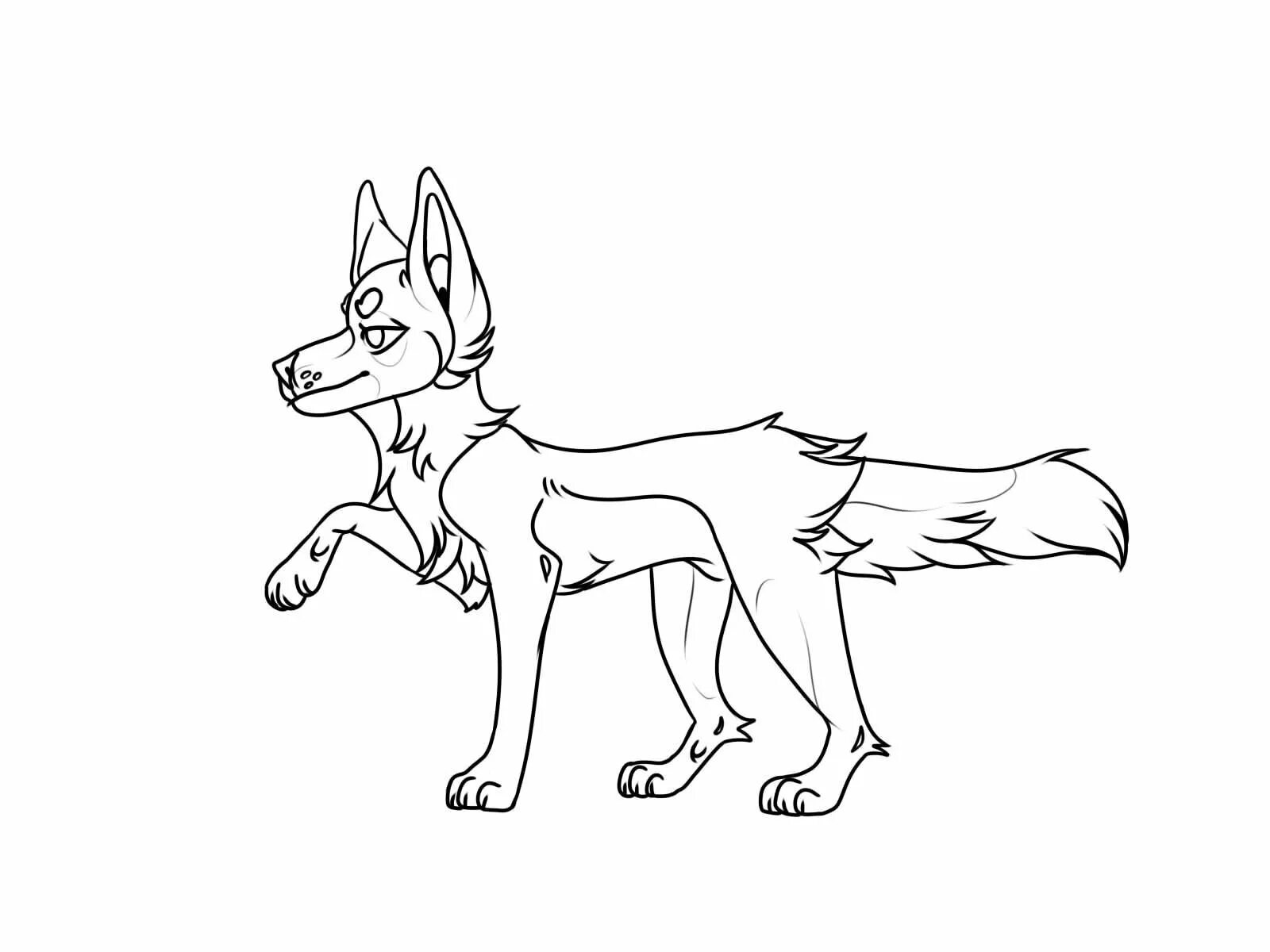 раскраски адопт. коты воители фрилайн референс. лайны петов. манекены животных для рисования. адопты раскраска.