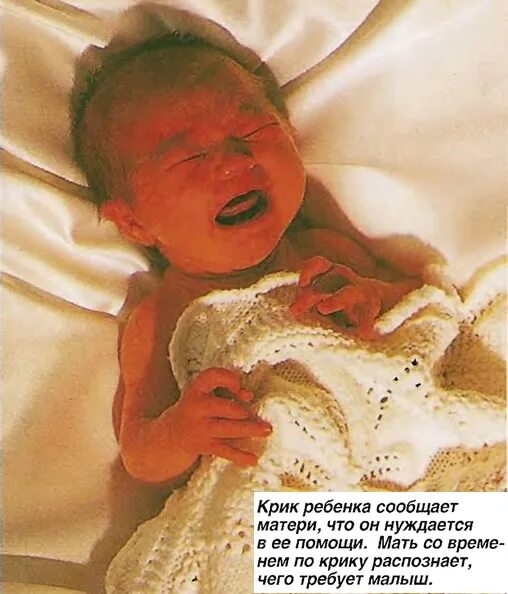 Причины крика у ребенка. Причины крика у ребенка. Плач новорожденного ребенка. Новорожденный плачет. Орущий младенец.