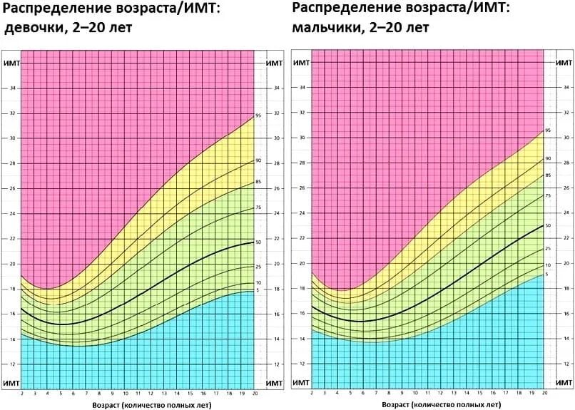 Индекс массы тела. Нормальный ИМТ для подростка. Индекс массы тела (ИМТ). Как рассчитать ИМТ для подростков.