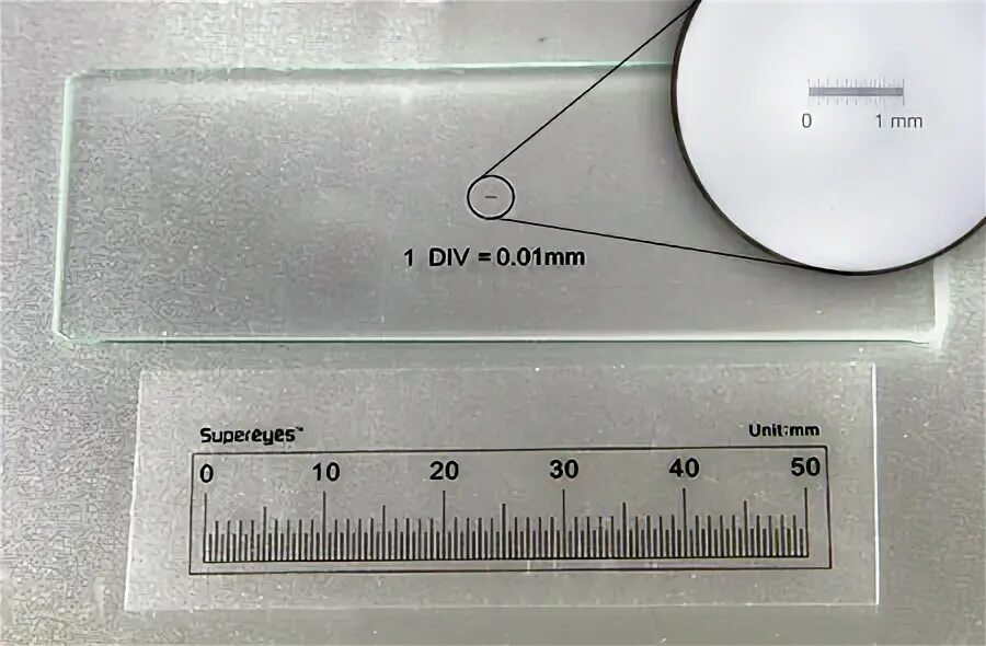 Линейка для микроскопа. Калибровочная линейка для микроскопа. Объект-микрометр для микроскопа с ценой деления 0.01 мм. Калибровочная линейка ОМО 0,01 мм. Линейка микрометр для микроскопа.