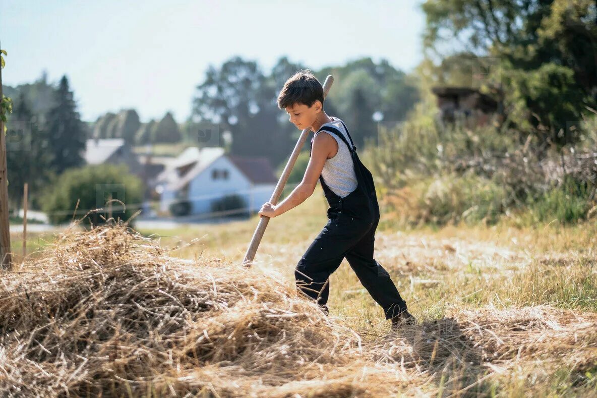 Working on the farm. Мальчик работает на ферме. мальчики работают на ферме фото. boy in working overalls. farm boy returns.