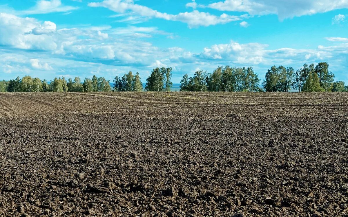 черноземы лесостепей оподзоленные и выщелоченные. северный чернозем. чернозем южный малогумусный. вспаханная земля. черноземные почвы.