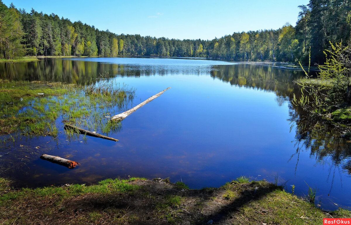 карелия лето. лесное озеро томск. озеро байкал (иркутская область, иркутск). озеро лайхаярви выборгский район. любимое место озеро.