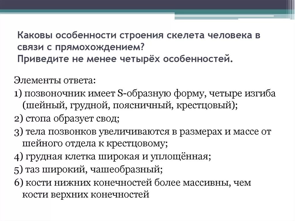 Перечислите особенности скелета. Особенности строения человека. Особенности строения скелета человека. Особенности скелета человека связанные с прямохождением. Особенности скелета человека в связи с.