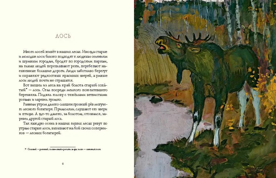 Соколов микитов рысь. Соколов-Микитов осень в лесу. Осень в лесу книга Соколов-Микитов. Лось рассказ Соколов Микитин.