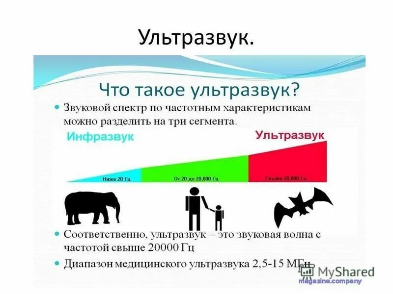 Ультразвук. Ультразвук и инфразвук схема. Рисунок ультразвука и инфразвука.