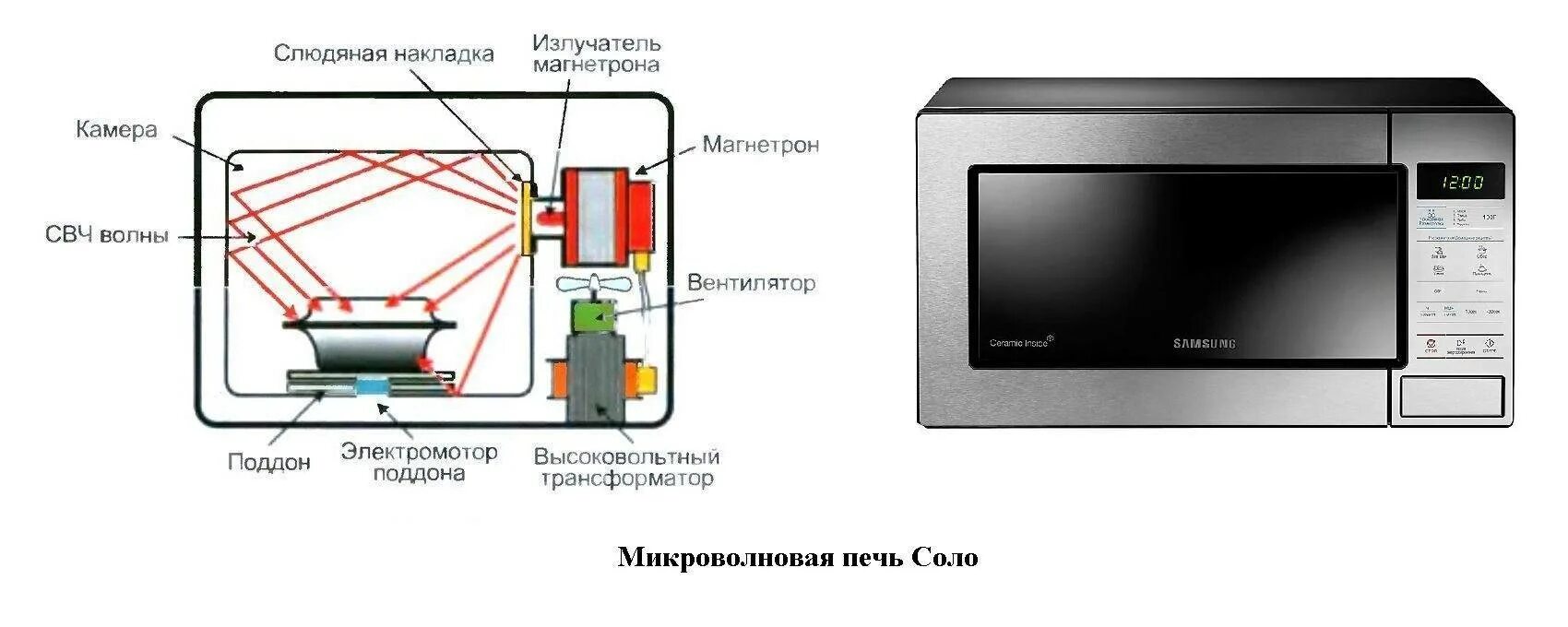 Принцип работы СВЧ микроволновки. Принцип работы микроволновой печи схема. Устройства магнетрона микроволновки СВЧ. Микроволновый излучатель в микроволновке.