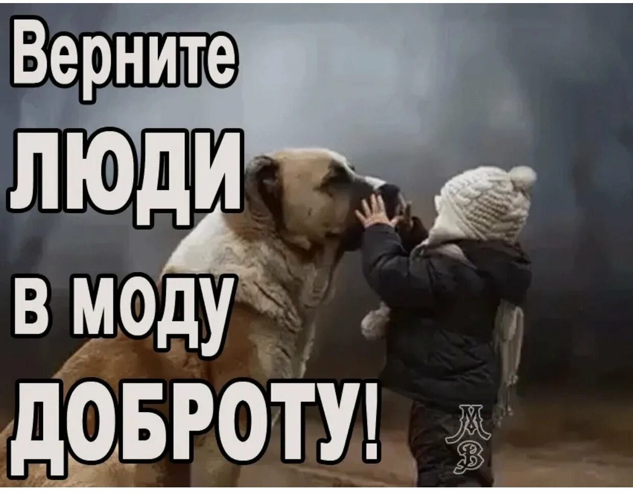 Как называется человек делающий добро. Люди будьте добрее. доброта картинки. о доброте. картинки про доброту с надписями.