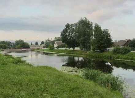 Погода в дятлове