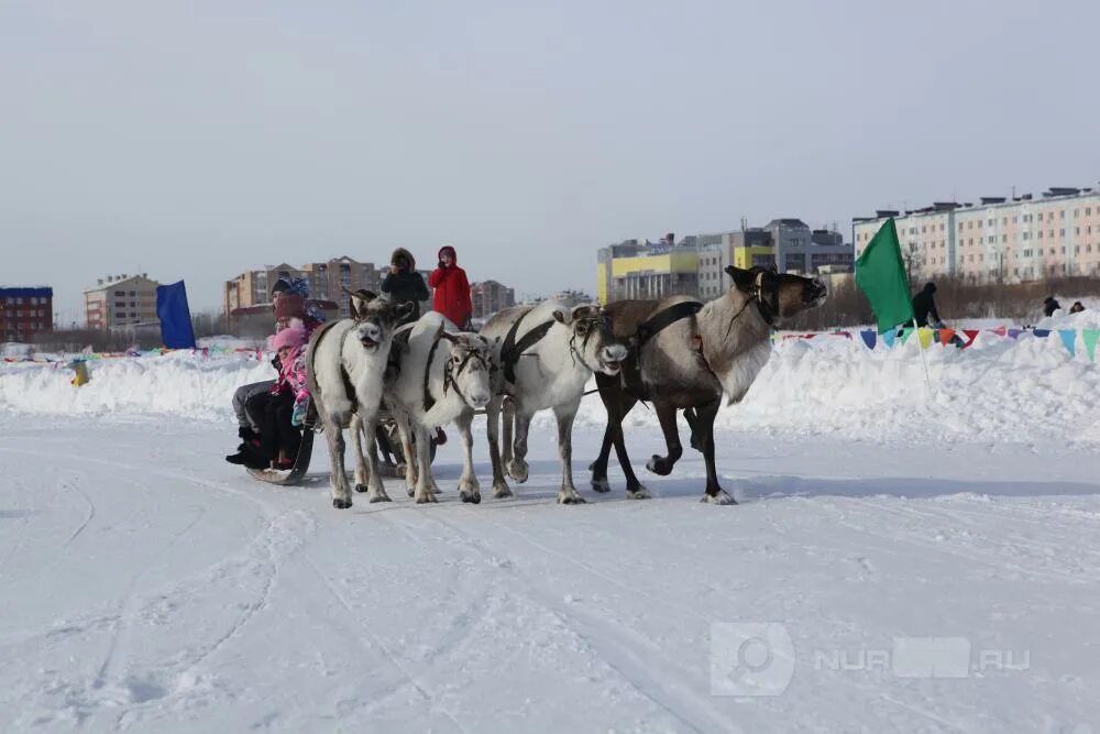 День народов севера новый Уренгой.