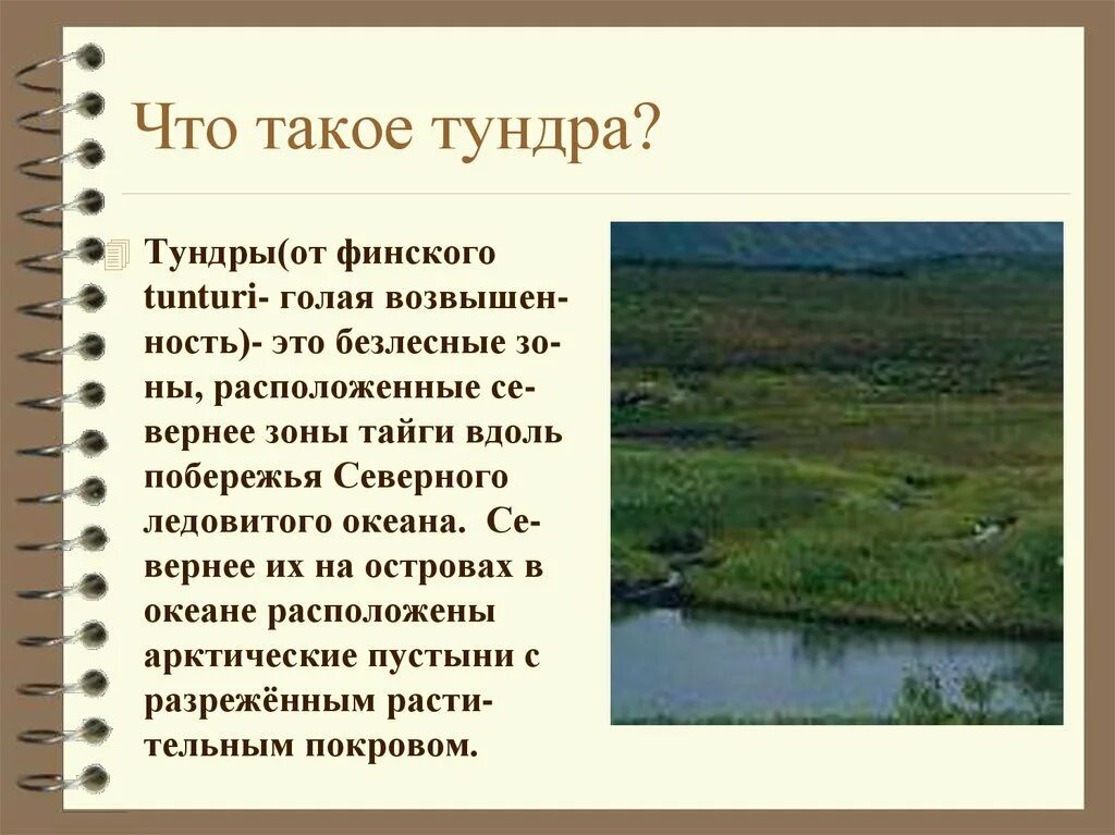 Почему тундра является безлесной. Тундра. Тундровый. Тундра это кратко. Рассказ о тундре 4 класс.