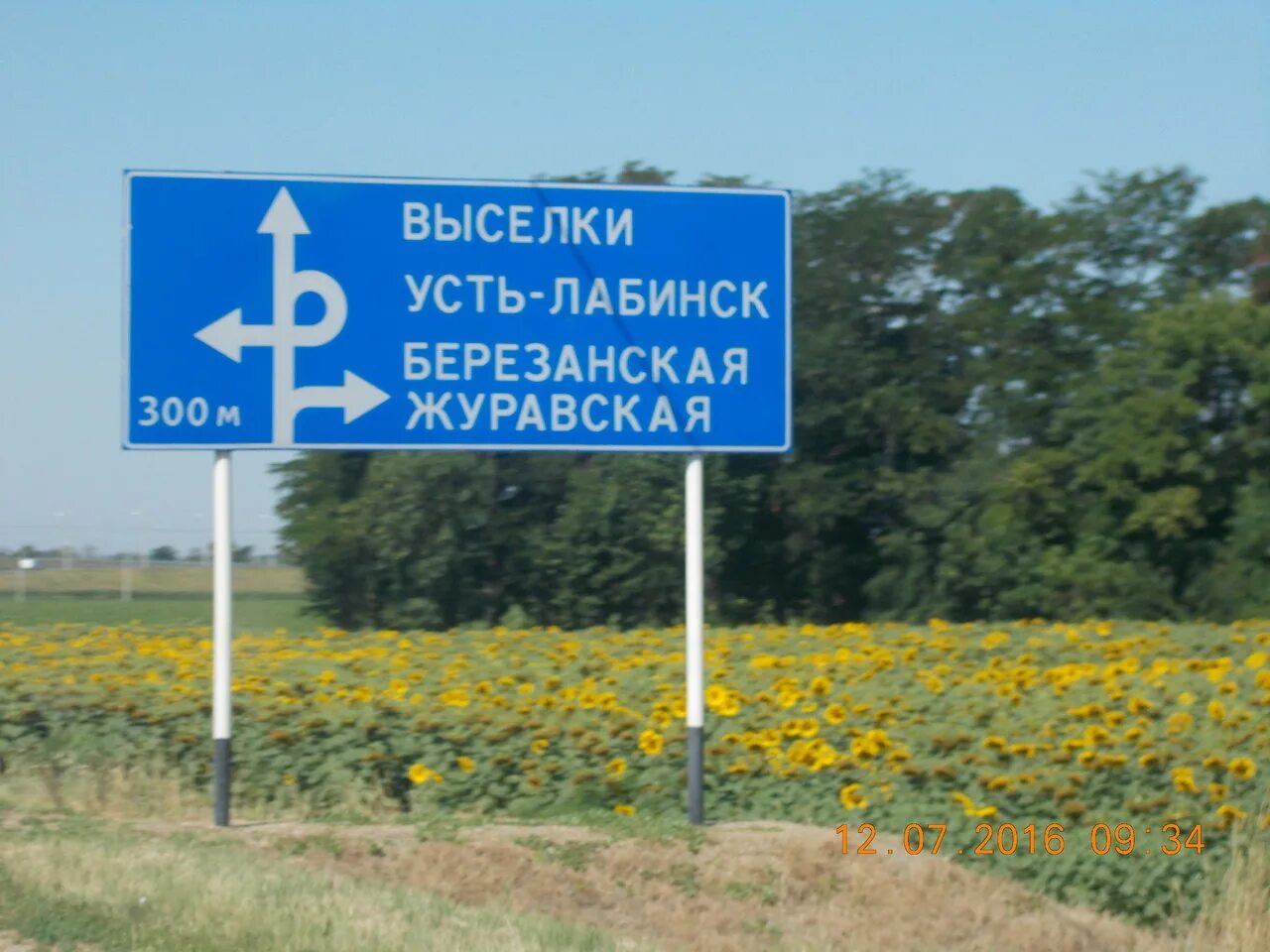 город усть лабинск. цветы усть лабинск. усть лабинск. цветочный магазин лабинск. благоустройство усть-лабинск.