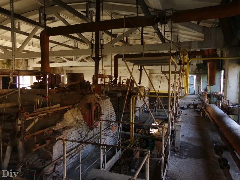 погода в куровицах гатчинский