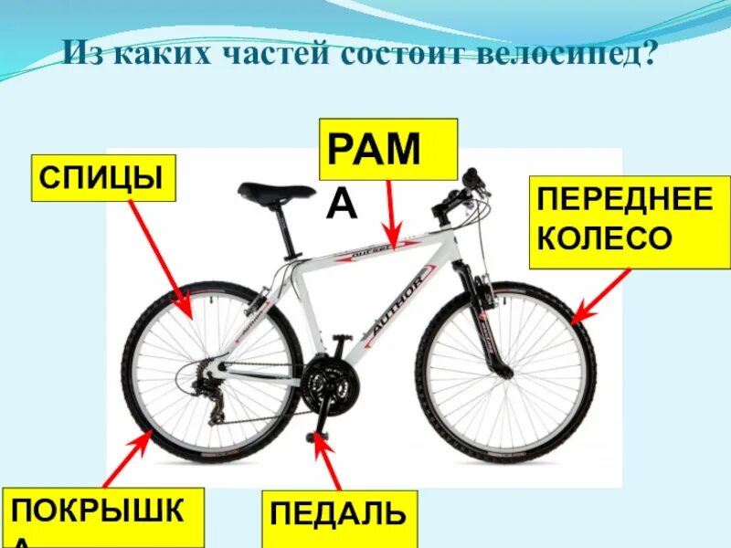 Устройство велосипеда. Из каких частей состоит велосипед. BP RFRB[ xfcntq состоит велосипед. Законы статики в конструкции велосипеда. Из каких частей состоит со