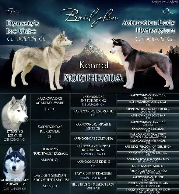 Кличка собаки малыша 5 букв