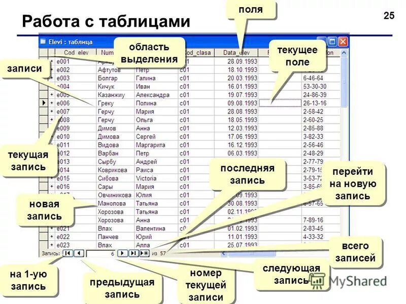 Получить данные из бд