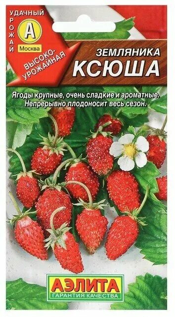 Земляника (крупноплодная) Берегиня (9839): купить саженцы почтой в Беларуси инте
